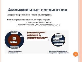 АМФИФИЛЬНЫЕ СОЕДИНЕНИЯ
Содержат гидрофобные и гидрофильные группы
В эмульгировании пищевого жира участвуют:
 компоненты мицелл желчи:
желчные кислоты, ФЛ, холестерол (12,5:2,5:1)
22
 