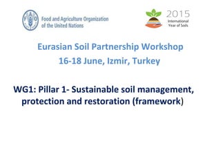 Eurasian Soil Partnership Workshop
16-18 June, Izmir, Turkey
WG1: Pillar 1- Sustainable soil management,
protection and restoration (framework)
 