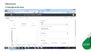 Data collection with farmers  in bean pest and disease management using  the Open Data Kit
