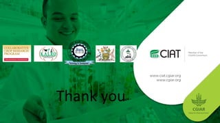 Data collection with farmers  in bean pest and disease management using  the Open Data Kit