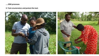 Data collection with farmers  in bean pest and disease management using  the Open Data Kit