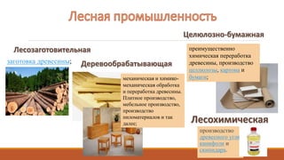 производство
древесного угля,
канифоли и
скипидара.
заготовка древесины;
механическая и химико-
механическая обработка
и переработка древесины.
Плитное производство,
мебельное производство,
производство
пиломатериалов и так
далее;
преимущественно
химическая переработка
древесины, производство
целлюлозы, картона и
бумаги;