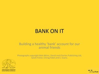 BANK ON IT
Building a healthy ‘bank’ account for our
animal friends
Photographs copyright Bob Atkins, David and Charles Publishing Ltd,
Sarah Fisher, Chirag Patel and E. Evans.
 