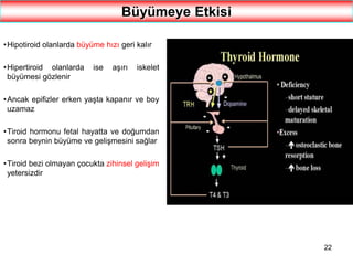22
Büyümeye Etkisi
•Hipotiroid olanlarda büyüme hızı geri kalır
•Hipertiroid olanlarda ise aşırı iskelet
büyümesi gözlenir
•Ancak epifizler erken yaşta kapanır ve boy
uzamaz
•Tiroid hormonu fetal hayatta ve doğumdan
sonra beynin büyüme ve gelişmesini sağlar
•Tiroid bezi olmayan çocukta zihinsel gelişim
yetersizdir
 