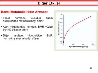 26
Diğer Etkiler
Bazal Metabolik Hızın Artması:
• Tiroid hormonu vücudun bütün
hücrelerinde metabolizmayı artırır
• Aşırı miktarlardaki hormon, BMR yüzde
60-100'ü kadar artırır
• Diğer taraftan, hipotroidide, BMR
normalin yarısına kadar düşer
 