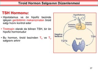 37
Tiroid Hormon Salgısının Düzenlenmesi
TSH Hormonu:
• Hipotalamus ve ön hipofiz bezinde
işleyen geribildirim mekanizmaları tiroid
salgı hızını kontrol eder
• Tirotropin olarak da bilinen TSH, bir ön
hipofiz hormonudur
• Bu hormon, tiroid bezinden T4 ve T3
salgısını artırır
 