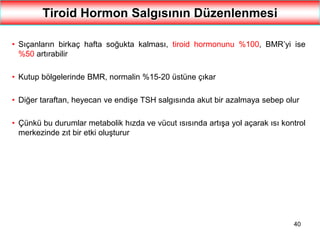 40
Tiroid Hormon Salgısının Düzenlenmesi
• Sıçanların birkaç hafta soğukta kalması, tiroid hormonunu %100, BMR’yi ise
%50 artırabilir
• Kutup bölgelerinde BMR, normalin %15-20 üstüne çıkar
• Diğer taraftan, heyecan ve endişe TSH salgısında akut bir azalmaya sebep olur
• Çünkü bu durumlar metabolik hızda ve vücut ısısında artışa yol açarak ısı kontrol
merkezinde zıt bir etki oluşturur
 