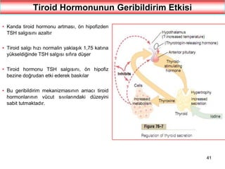 41
Tiroid Hormonunun Geribildirim Etkisi
• Kanda tiroid hormonu artması, ön hipofizden
TSH salgısını azaltır
• Tiroid salgı hızı normalin yaklaşık 1,75 katına
yükseldiğinde TSH salgısı sıfıra düşer
• Tiroid hormonu TSH salgısını, ön hipofiz
bezine doğrudan etki ederek baskılar
• Bu geribildirim mekanizmasının amacı tiroid
hormonlarının vücut sıvılarındaki düzeyini
sabit tutmaktadır.
 
