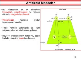 42
Antitiroid Maddeler
• Bu maddelerin en iyi bilinenleri
tiyosiyanat, propiltiyourasil ve yüksek
düzeyde inorganik iyodürlerdir
• Tiyosiyanat, hücrelere iyodür
taşınmasının baskılar
• Tiroid hormon yetersizliği de TSH
salgısını artırır ve büyümesine yol açar
• Böylece tiyosiyanatların kullanımı, bezin
fazla büyümesine (guatr) neden olur
 