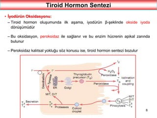8
Tiroid Hormon Sentezi
• İyodürün Oksidasyonu:
– Tiroid hormon oluşumunda ilk aşama, iyodürün β-şeklinde okside iyoda
dönüşümüdür
– Bu oksidasyon, peroksidaz ile sağlanır ve bu enzim hücrenin apikal zarında
bulunur
– Peroksidaz kalıtsal yokluğu söz konusu ise, tiroid hormon sentezi bozulur
 