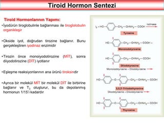 9
Tiroid Hormon Sentezi
Tiroid Hormonlarının Yapımı:
•İyodürün tiroglobulinle bağlanması ile tiroglolobulin
organikleşir
•Okside iyot, doğrudan tirozine bağlanır. Bunu
gerçekleştiren iyodinaz enzimidir
•Tirozin önce monoiyodotirozine (MİT), sonra
diiyodotirozine (DİT) iyotlanır
•Eşleşme reaksiyonlarının ana ürünü tiroksindir
•Ayrıca bir molekül MİT bir molekül DİT ile birbirine
bağlanır ve T3 oluşturur, bu da depolanmış
hormonun 1/15’i kadardır
 
