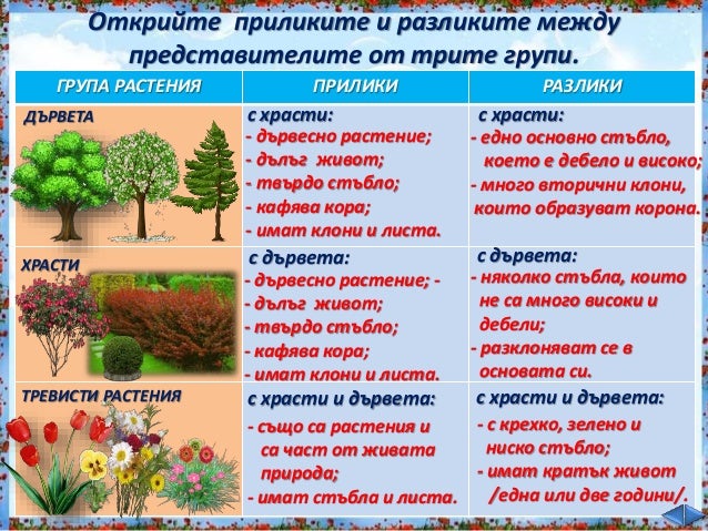 9. Природата в родния край, Групи растения - РK, Просвета - В. П.