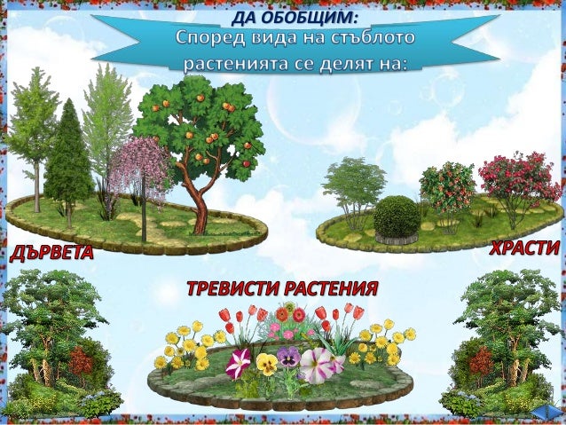 9. Природата в родния край, Групи растения - РK, Просвета - В. П.