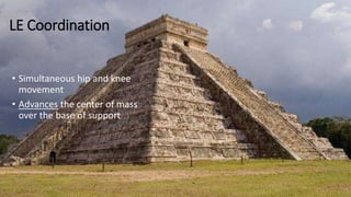 LE Coordination
• Simultaneous hip and knee
movement
• Advances the center of mass
over the base of support
 
