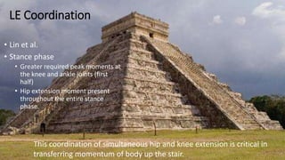LE Coordination
• Lin et al.
• Stance phase
• Greater required peak moments at
the knee and ankle joints (first
half)
• Hip extension moment present
throughout the entire stance
phase.
This coordination of simultaneous hip and knee extension is critical in
transferring momentum of body up the stair.
 