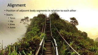 Alignment
• Position of adjacent body segments in relation to each other
• Stairs:
• Torso
• Hip
• Knee
• Ankle
 