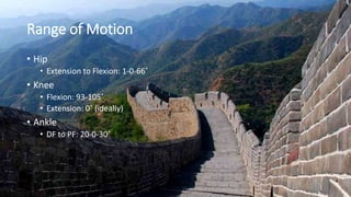 Range of Motion
• Hip
• Extension to Flexion: 1-0-66˚
• Knee
• Flexion: 93-105˚
• Extension: 0˚ (ideally)
• Ankle
• DF to PF: 20-0-30˚
 
