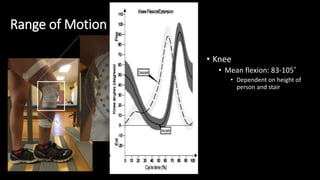 Range of Motion
• Knee
• Mean flexion: 83-105˚
• Dependent on height of
person and stair
 