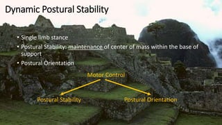 Dynamic Postural Stability
• Single limb stance
• Postural Stability: maintenance of center of mass within the base of
support
• Postural Orientation
Motor Control
Postural OrientationPostural Stability
 
