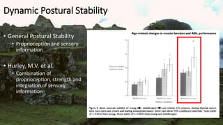 Dynamic Postural Stability
• General Postural Stability
• Proprioception and sensory
information
• Hurley, M.V. et al.
• Combination of
proprioception, strength and
integration of sensory
information
 