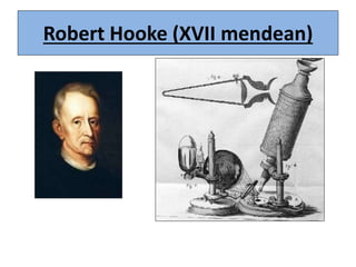 Robert Hooke (XVII mendean)
 