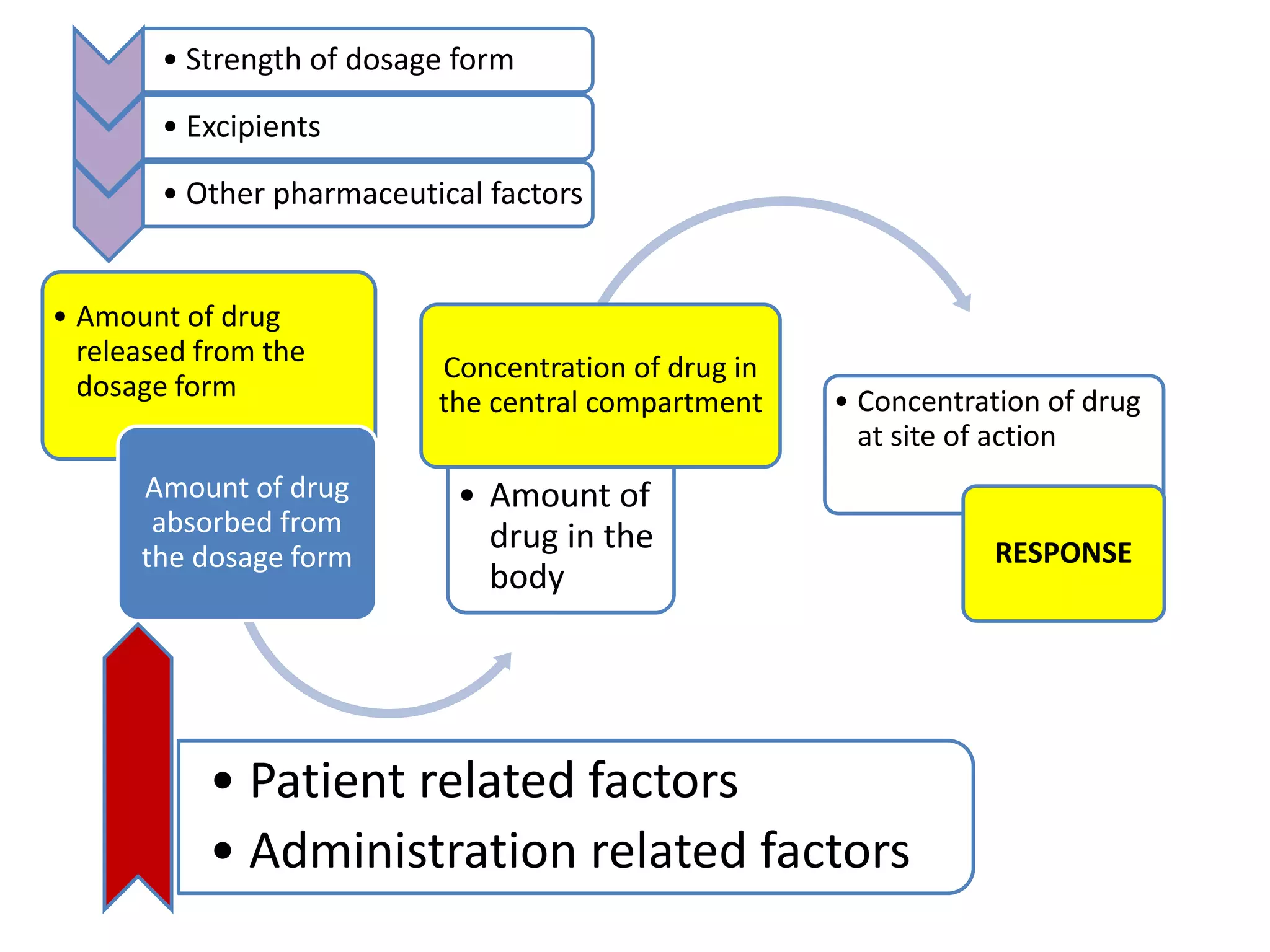• Amount of drug
released from the
dosage form
Amount of drug
absorbed from
the dosage form
• Amount of
drug in the
body
Concentration of drug in
the central compartment • Concentration of drug
at site of action
RESPONSE
• Strength of dosage form
• Excipients
• Other pharmaceutical factors
• Patient related factors
• Administration related factors
 