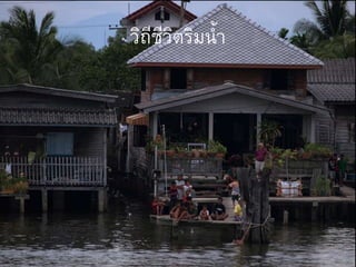 วิถีชีวิตริมน้า
 