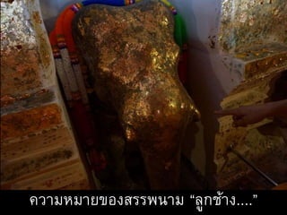 ความหมายของสรรพนาม “ลูกช้าง....”
 