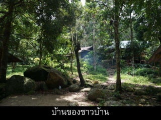 บ้านของชาวบ้าน
 