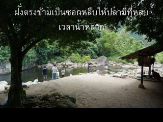 ฝั่งตรงข้ามเป็นซอกหลืบให้ปลามีที่หลบ
เวลาน้าหลาก
 