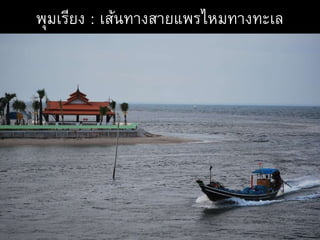 พุมเรียง : เส้นทางสายแพรไหมทางทะเล
 