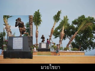 มวยไชยา
 