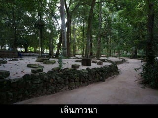 เดินภาวนา
 