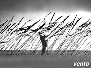 vento
 