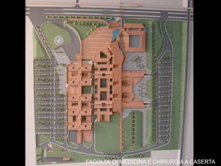FACOLTA’ DI MEDICINA E CHIRURGIA A CASERTA
 