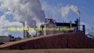 Pulp and Paper mill industrial effluent
 