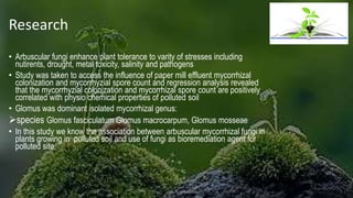 Research
• Arbuscular fungi enhance plant tolerance to varity of stresses including
nutirents, drought, metal toxicity, salinity and pathogens
• Study was taken to access the influence of paper mill effluent mycorrhizal
colonization and mycorrhyzial spore count and regression analysis revealed
that the mycorrhyzial colonization and mycorrhizal spore count are positively
correlated with physio chemical properties of polluted soil
• Glomus was dominant isolated mycorrhizal genus:
species Glomus fasciculatum Glomus macrocarpum, Glomus mosseae
• In this study we know the association between arbuscular mycorrhizal fungi in
plants growing in polluted soil and use of fungi as bioremediation agent for
polluted site
 