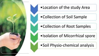 •Location of the study Area
•Collection of Soil Sample
•Collection of Root Samples
•Isolation of Micorrhizal spore
•Soil Physio-chemical analysis
 