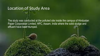 Location of Study Area
The study was conducted at the polluted site inside the campus of Hindustan
Paper Corporation Limited, HPC, Assam, India where the solid sludge and
effluent have been dumped.
 