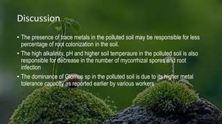 Discussion
• The presence of trace metals in the polluted soil may be responsible for less
percentage of root colonization in the soil.
• The high alkalinity, pH and higher soil temperaure in the polluted soil is also
responsible for decrease in the number of mycorrhizal spores and root
infection
• The dominance of Glomus sp in the polluted soil is due to its higher metal
tolerance capacity as reported earlier by various workers
 
