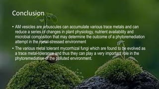 Conclusion
• AM vesicles are arbuscules can accumulate various trace metals and can
reduce a series of changes in plant physiology, nutrient availability and
microbial composition that may determine the outcome of a phytoremediation
attempt in the metal-stressed environment
• The various metal tolerant mycorrhizal fungi which are found to be evolved as
a trace metal-tolerance and thus they can play a very important role in the
phytoremediation of the polluted environment.
 