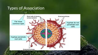 Types of Association
 