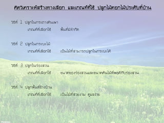 คิดวิเคราะห์สร้างทางเลือก และเกณฑ์ที่ใช้ ปลูกไม้ดอกไม้ประดับที่บ้าน
วิธีที่ 1 ปลูกในกระถางดินเผา
เกณฑ์ที่เลือกใช้ พื้นที่มีจากัด
วิธีที่ 2 ปลูกในกระบะไม้
เกณฑ์ที่เลือกใช้ เป็นไม้ที่สามารถปลูกในกระบะได้
วิธีที่ 3 ปลูกในร่องสวน
เกณฑ์ที่เลือกใช้ ขนาดของร่องสวนและขนาดต้นไม้ที่พอดีกับร่องสวน
วิธีที่ 4 ปลูกพื้นที่ข้างบ้าน
เกณฑ์ที่เลือกใช้ เป็นไม้ที่สวยงาม ดูแลง่าย
 