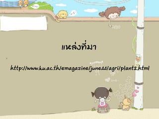 แหล่งที่มา
http://www.ku.ac.th/emagazine/june44/agri/plant2.html
 