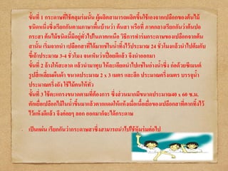 ขั้นที่ 1 กระดาษที่ใช้คลุมร่มนั้น ผู้ผลิตสามารถผลิตขึ้นใช้เองจากเปลือกของต้นไม้
ชนิดหนึ่งซึ่งเรียกกันตามภาษาพื้นบ้านว่า ต้นสา หรือที่ ภาคกลางเรียกกันว่าต้นปอ
กระสา ต้นไม้ชนิดนี้มีอยู่ทั่วไปในภาคเหนือ วิธีการทาร่มกระดาษของเปลือกจากต้น
สานั้น เริ่มจากนา เปลือกสาที่ได้มาแช่ในน้าทิ้งไว้ประมาณ 24 ชั่วโมงแล้วนาไปต้มกับ
ขี้เถ้าประมาณ 3-4 ชั่วโมง จนเห็นว่าเปื่อยดีแล้ว จึงนาออกมา
ขั้นที่ 2 ล้างให้สะอาด แล้วนามาทุบ ให้ละเอียดนาไปแช่ในอ่างน้าซึ่ง ก่อด้วยซีเมนต์
รูปสี่เหลี่ยมผืนผ้า ขนาดประมาณ 2 x 3 เมตร และลึก ประมาณครึ่งเมตร บรรจุน้า
ประมาณครึ่งถัง ใช้ไม้คนให้ทั่ว
ขั้นที่ 3 ใช้ตะแกรงขนาดตามที่ต้องการ ซึ่งส่วนมากมีขนาดประมาณ40 x 60 ซ.ม.
ตักเยื่อเปลือกไม้ในน้าขึ้นมาแล้วตากแดดให้แห้งเมื่อเนื้อเยื่อของเปลือกสาที่ตากทิ้งไว้
ไว้แห้งดีแล้ว จึงค่อยๆ ลอก ออกมาก็จะได้กระดาษ
• เป็นแผ่น เรียกกันว่ากระดาษสาซึ่งสามารถนาไปใช้หุ้มร่มต่อไป
 