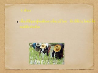 5. ทานา
เพื่อแก้ปัญหาผู้คนต้องการที่จะบริโภค ข้าวได้ประโยชน์ คือ
คนมีข้าวกินด้วย
 