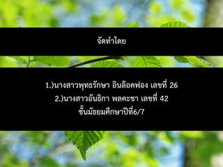 1.)นางสาวพุทธรักษา อินลอคฟอง เลขที่ 26
2.)นางสาวอันธิกา พลคะชา เลขที่ 42
ชั้นมัธยมศึกษาปที่6/7
จัดทําโดย
 