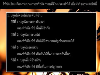 ใหนักเรียนเลือกกระบวนการหรือกิจกรรมที่ตองนาจะทําได เมื่อทํากิจกรรมตอไปนี้
1. ปลูกไมดอกไมประดับที่บาน
วิธีที่ 1 ปลูกในกระถางดินเผา
เกณฑที่เลือกใช พื้นที่มีจํากัด
วิธีที่ 2 ปลูกในกระบะไม
เกณฑที่เลือกใช เปนไมที่สามารถปลูกในกระบะได
วิธีที่ 3 ปลูกในรองสวน
เกณฑที่เลือกใช เปนตนไมที่แยงอาหารตนอื่นๆ
วิธีที่ 4 ปลูกพื้นที่ขางบาน
เกณฑที่เลือกใช มีพื้นที่ในการปลูกเยอะ
 