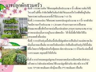 3. การปลูกผักสวนครัวขั้นที่ 1 การพรวนดิน ใช้จอบขุดดินลึกประมาณ 6 นิ้ว เพื่อพรวนดินให้มี
โครงสร้างดีขึ้น กาจัดวัชพืชในดินกาจัดไข่แมลงหรือโรคพืชที่อยู่ในดิน
โดยการพรวนดินและตากทิ้งไว้ประมาณ 7-15 วัน
ขั้นที่ 2 การยกแปลง ใช้จอบพรวนยกแปลงสูงประมาณ 4-5 นิ้ว จากผิวดิน
โดยมีความกว้างประมาณ 1-1.20 เมตร ส่วนความยาวควรเป็นตาม
ลักษณะของพื้นที่หรืออาจแบ่งเป็นแปลงย่อยๆ ตามความเหมาะสม ความ
ยาวของแปลงนั้นควรอยู่ในแนวทิศเหนือ - ใต้ทั้งนี้เพื่อให้ผักได้รับ
แสงแดดทั่วทั้งแปลง
ขั้นที่ 3 การปรับปรุงเนื้อดินเนื้อดินที่ปลูกผักควรเป็นดินร่วนแต่สภาพ ดิน
เดิมนั้นอาจจะเป็นดิน ทรายหรือดินเหนียว จาเป็นต้องปรับปรุงให้เนื้อดิน
ดีขึ้นโดยการใส่ปุ๋ ยหมักหรือปุ๋ ยคอก อัตราประมาณ 2-3 กิโลกรัม ต่อเนื้อที่
1 ตารางเมตร คลุกเคล้าให้เข้ากัน
ขั้นที่ 4 การกาหนดหลุมปลูกจะกาหนดภายหลังจากเลือกชนิด ผักต่างๆ
แล้วเพราะว่าผักแต่ละชนิดจะใช้ระยะปลูกที่ต่างกัน เช่น พริก ควรใช้
ระยะ 75*100 เซนติเมตร ผักบุ้งจะเป็น 5*5 เซนติเมตร เป็นต้น
 