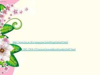 แหล่งที่มา
http://www.ku.ac.th/e-magazine/june44/agri/plant2.html
• http://202.129.0.133/newart/newart&craft/umbrella02.html
 